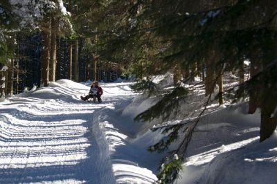 Sáňkařská dráha Smržovka