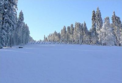 Lyžařský vlek Šerlišský mlýn