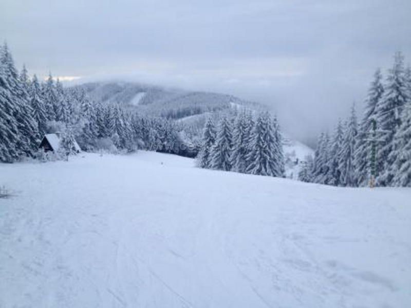 Skiareál Celnica