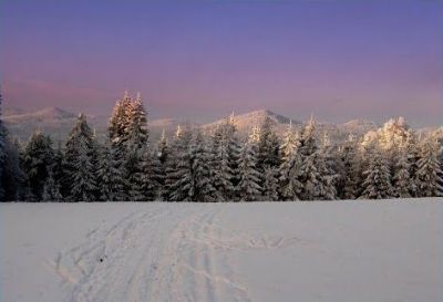 Běžecký areál Polevsko