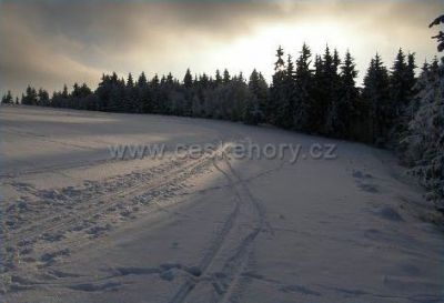 Běžecký areál Polevsko