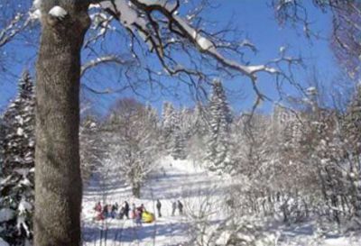 Skiareál České Žleby