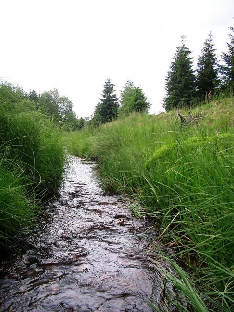Pohraniční potok u Reinzenhainu