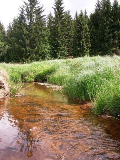 Výsluní - po prameni a po toku - Prunéřovský potok