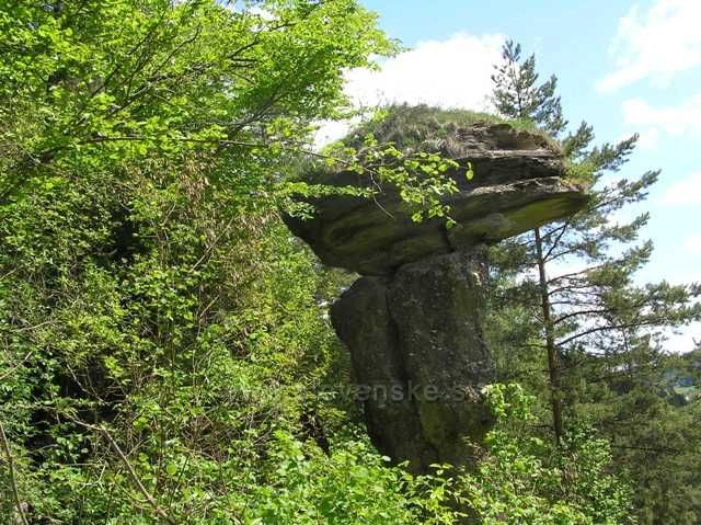 Markušovský kamenný hríb