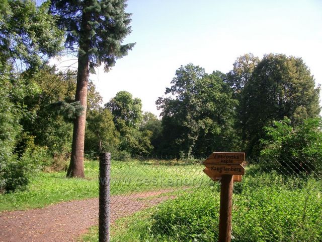 Vintířovské arboretum