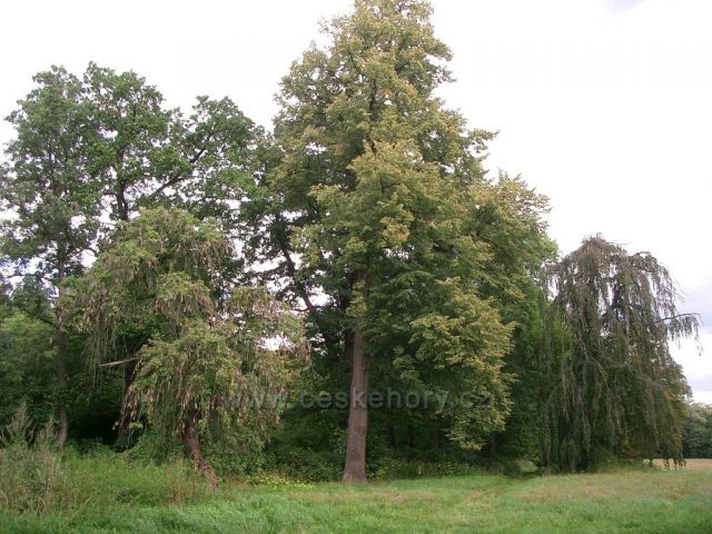 Vintířovské arboretum