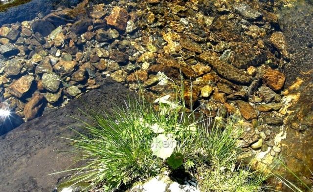 Bílá Opava - Hrubý Jeseník