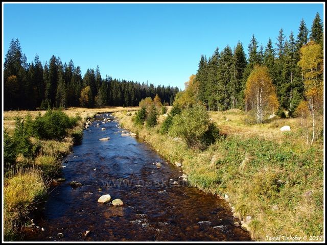 Šumava - Roklanský potok nedaleko Modravy