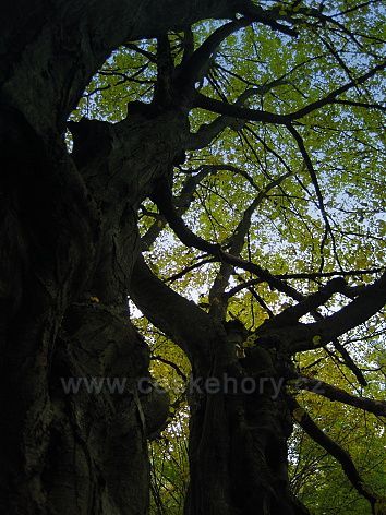 Klopotovské údolí