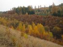 Les Drahanské vrchoviny 5.11.2011