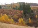 Les Drahanské vrchoviny 5.11.2011