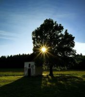 Kaplička ve Zlaté Olešnici