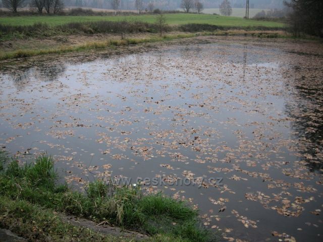 Rybník s listím