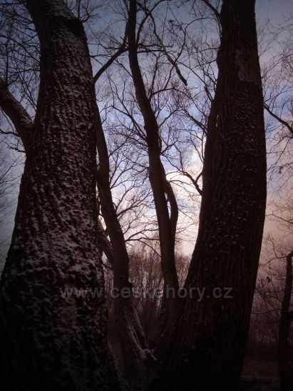 i v zimě je krásně