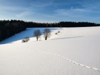 posed ve Zlaté Olešnici