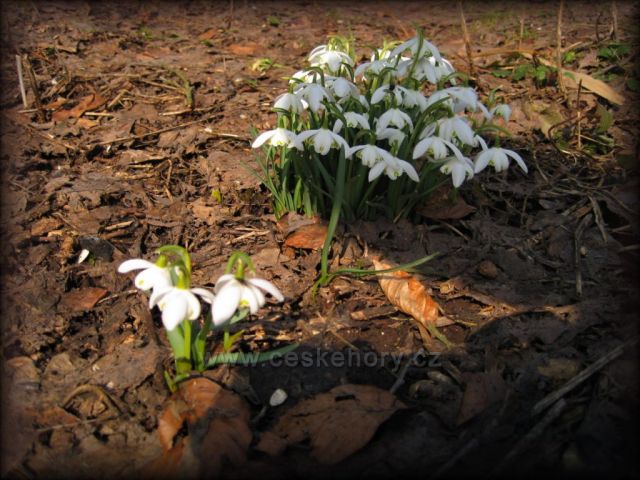 JARO pod Prázovou boudou