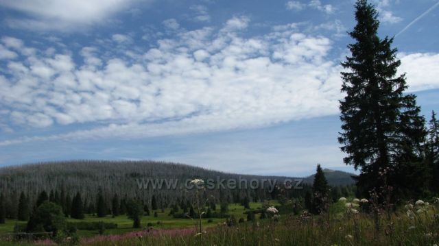 Šumava / místo foto neumím zařadit /