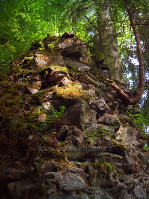 zřícenina u Skuhrova