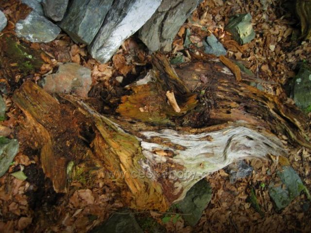 přírodní výtvory na Klečkově