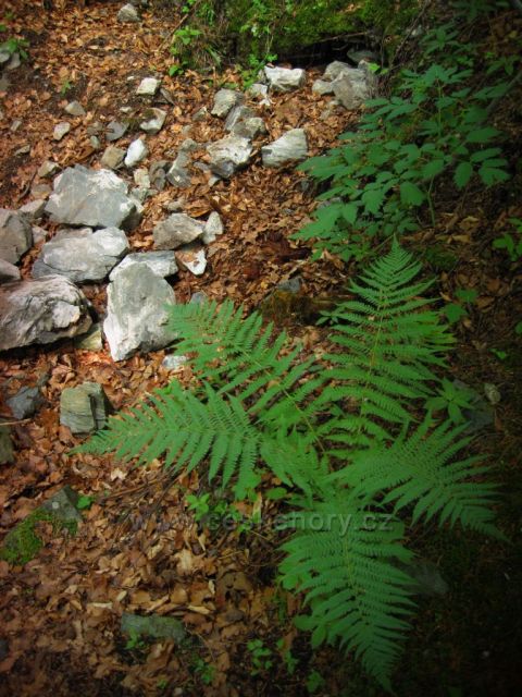 zřícenina KLečkov