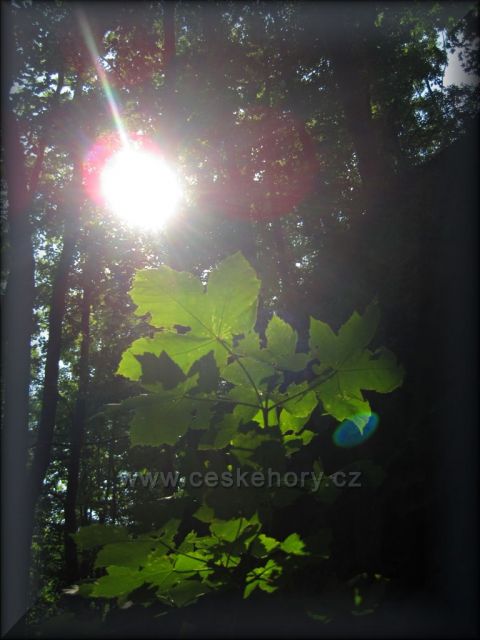 Klečkov u Skuhrova nad Bělou