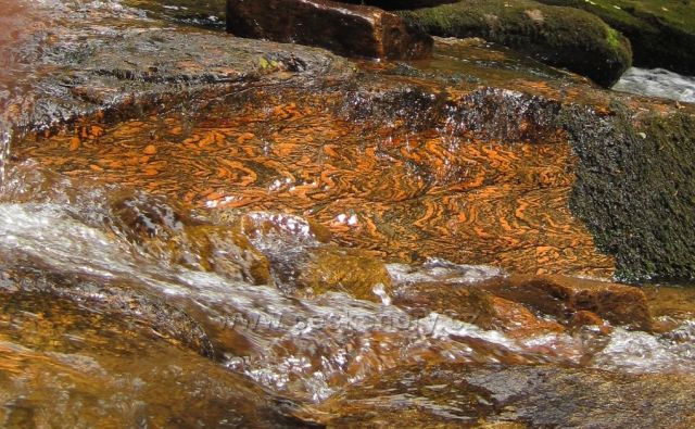 Divoká Orlice - krásná