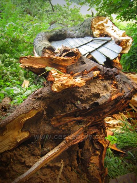 v Babiččině údolí