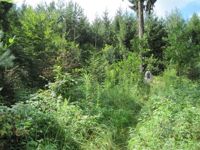 Kraj lišky Bystroušky
(Liduščin pomník)