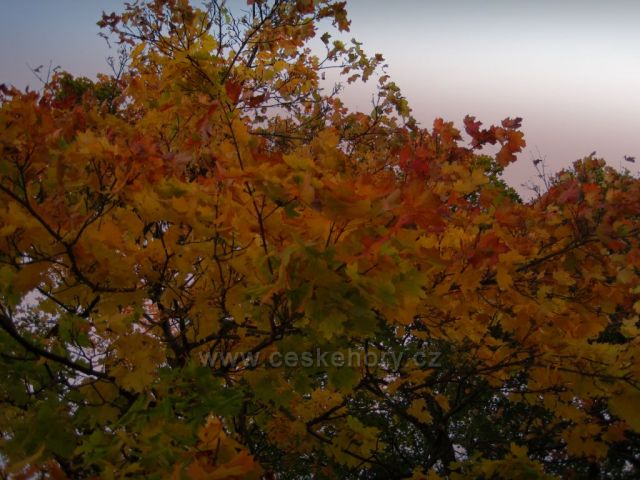 krásný PODZIM
