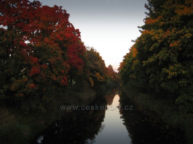 METUJE u Nového Města ...