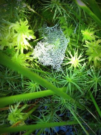 v říjnu na horách