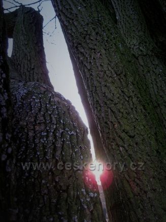 od Bačetínského potoka