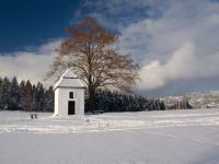 Kaplička ve Zlaté Olešnici.