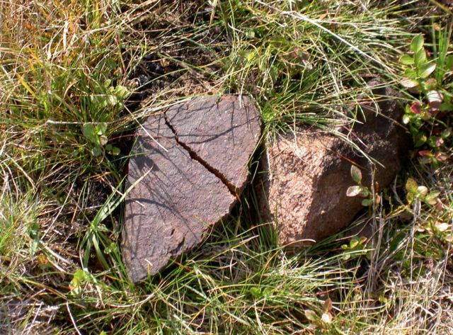 Kameny v trávě v Mostech u Jablunkova