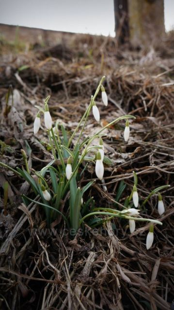 Ratibořice březen 2013