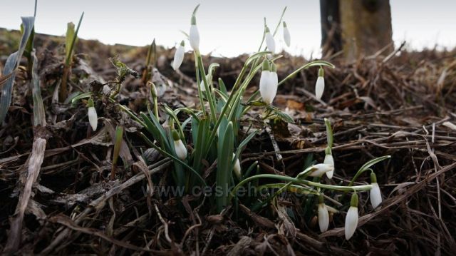 jaro v Ratibořicích