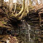 Studánka u Dobrušky