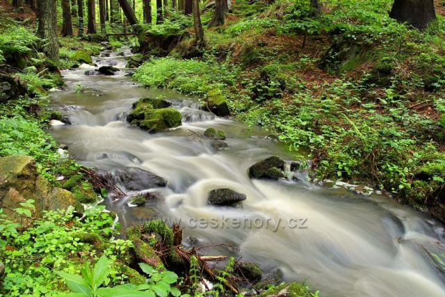 Kamenný potok v údolí řeky Doubravy (Chotěbořsko)