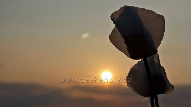 západ pod Orlickými