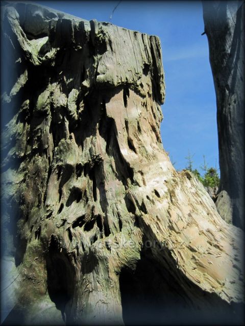 Jiráskova cesta / z Velké Deštné k Pěticestí /