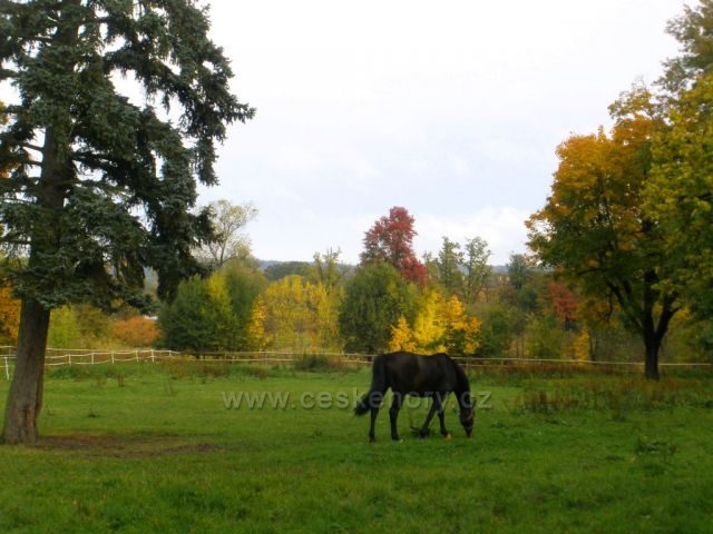 Podzim na Vondrově