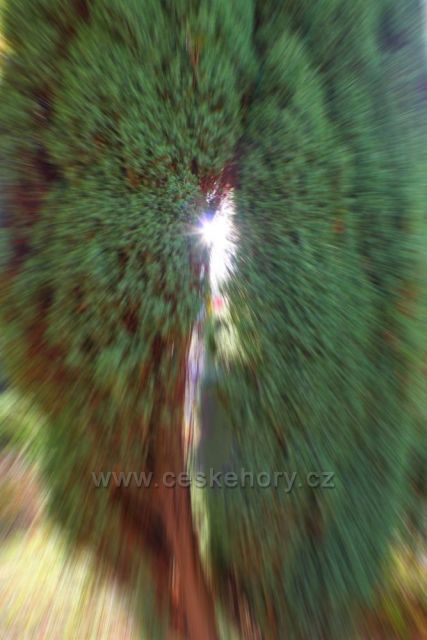 Z podzimní procházky