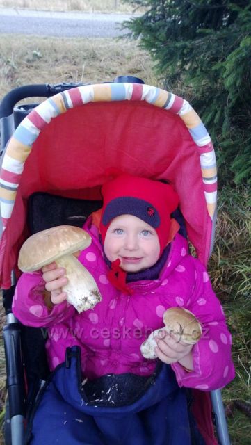 Houbařský úlovek v říjnu na Božím Daru