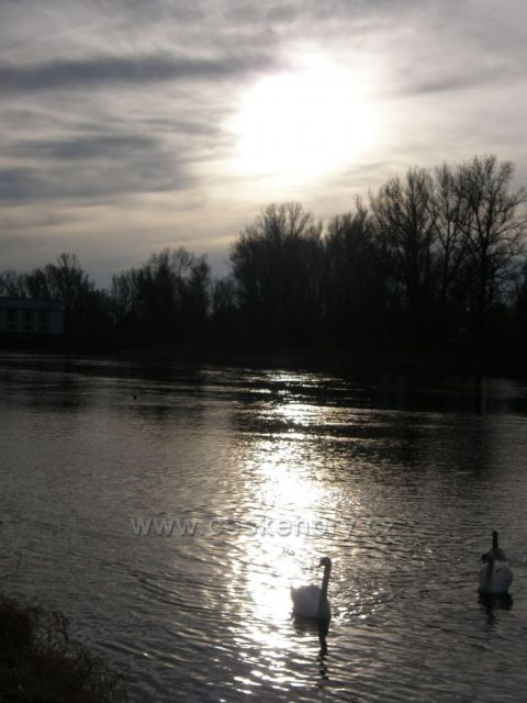 Sluníčko je nízko