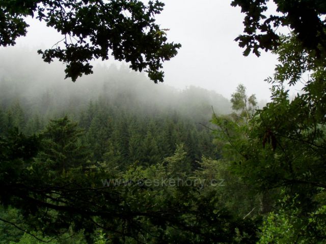 Kačenčiny rozmary 3