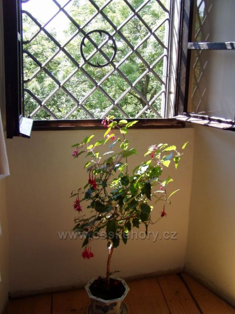 Humprecht - krása detailu 4