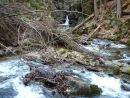 Stříbrný potok-Nýznerovské vodopády