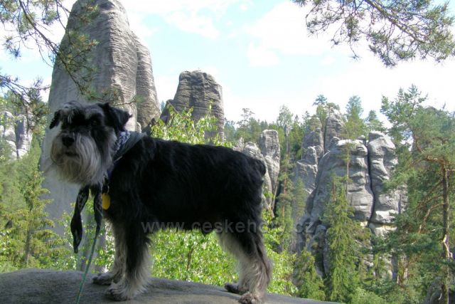 Jeden z turistů na velkém okruhu v Adršpašských skalách