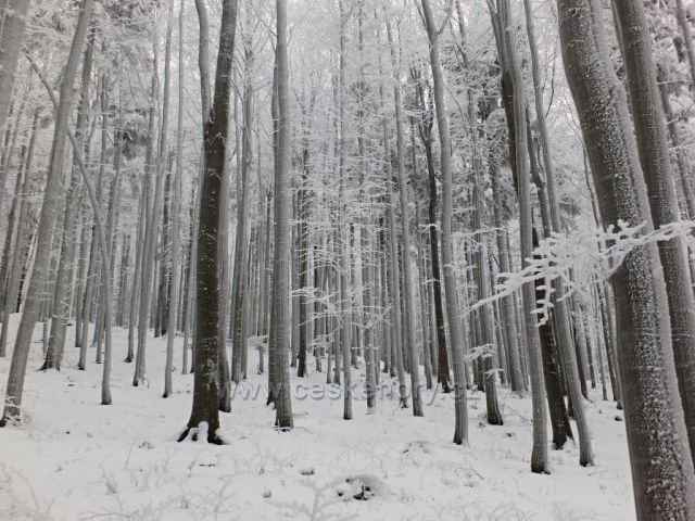 Pohádkovým lesem do Rožnova.